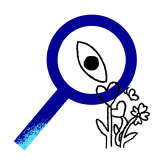 home icon (lupa) 